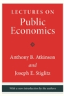 Image for Lectures on public economics