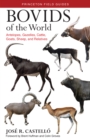 Image for Bovids of the world  : antelopes, gazelles, cattle, goats, sheep, and relatives