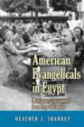 Image for American Evangelicals in Egypt : Missionary Encounters in an Age of Empire