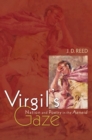 Image for Virgil&#39;s Gaze