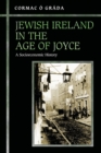 Image for Jewish Ireland in the age of Joyce  : a socioeconomic history