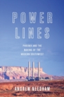 Image for Power lines  : Phoenix and the making of the modern southwest