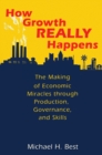 Image for How growth really happens  : the making of economic miracles through production, governance, and skills