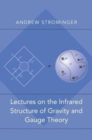 Image for Lectures on the infrared structure of gravity and gauge theory
