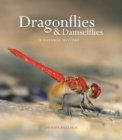 Image for Dragonflies and Damselflies : A Natural History