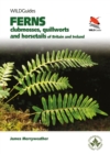 Image for Britain&#39;s ferns, clubmosses, quillworts, and horsetails  : a field guide