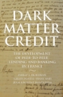 Image for Dark matter credit  : the development of peer-to-peer lending and banking in France
