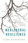Image for Neoliberal Resilience : Lessons in Democracy and Development from Latin America and Eastern Europe