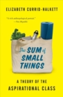 Image for The sum of small things  : a theory of the aspirational class