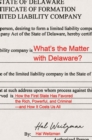 Image for What&#39;s the matter with Delaware?: how the first state has favored the rich, powerful, and criminal - and how it costs us all