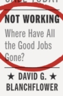 Image for Not Working: Where Have All the Good Jobs Gone?