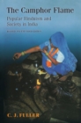 Image for The camphor flame: popular Hinduism and society in India