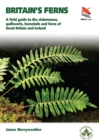 Image for Britain&#39;s Ferns, Clubmosses, Quillworts, and Horsetails: A Field Guide