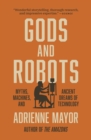 Image for Gods and Robots