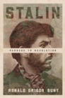 Image for Stalin  : passage to revolution