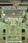 Image for Prototype Nation : China and the Contested Promise of Innovation