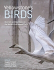 Image for Yellowstone&#39;s birds  : diversity and abundance in the world&#39;s first national park