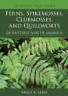 Image for Ferns, spikemosses, clubmosses, and quillworts of eastern North America : 150