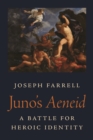 Image for Juno&#39;s Aeneid  : a battle for heroic identity