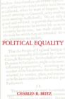 Image for Political Equality: An Essay in Democratic Theory
