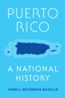 Image for Puerto Rico: A National History