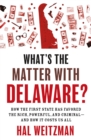 Image for What&#39;s the matter with Delaware?  : how the first state has favored the rich, powerful, and criminal - and how it costs us all
