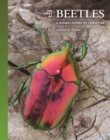Image for The Lives of Beetles: A Natural History of Coleoptera