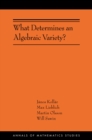 Image for What Determines an Algebraic Variety?