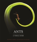Image for Ants: a visual guide
