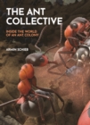Image for The ant collective: inside the world of an ant colony