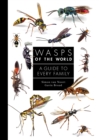 Image for Wasps of the World: A Guide to Every Family