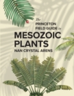 Image for The Princeton Field Guide to Mesozoic Plants
