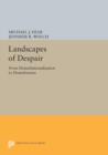 Image for Landscapes of Despair : From Deinstitutionalization to Homelessness