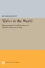 Image for Walks in the World