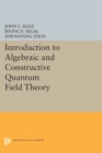 Image for Introduction to Algebraic and Constructive Quantum Field Theory