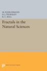 Image for Fractals in the Natural Sciences