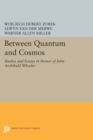 Image for Between Quantum and Cosmos : Studies and Essays in Honor of John Archibald Wheeler