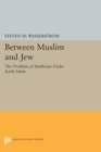 Image for Between Muslim and Jew : The Problem of Symbiosis under Early Islam