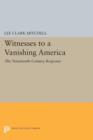 Image for Witnesses to a Vanishing America : The Nineteenth-Century Response