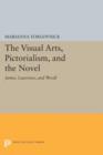 Image for The Visual Arts, Pictorialism, and the Novel : James, Lawrence, and Woolf