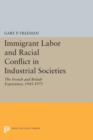 Image for Immigrant labor and racial conflict in industrial societies  : the French and British experience, 1945-1975