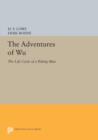 Image for The Adventures of Wu