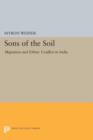 Image for Sons of the soil  : migration and ethnic conflict in India