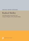Image for Radical Shelley : The Philosophical Anarchism and Utopian Thought of Percy Bysshe Shelley