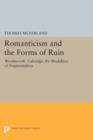 Image for Romanticism and the Forms of Ruin