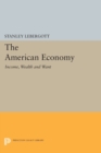 Image for The American economy  : income, wealth, and want