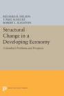 Image for Structural change in a developing economy  : Colombia&#39;s problems and prospects