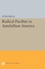 Image for Radical Pacifists in Antebellum America