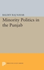 Image for Minority Politics in the Punjab
