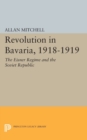 Image for Revolution in Bavaria, 1918-1919